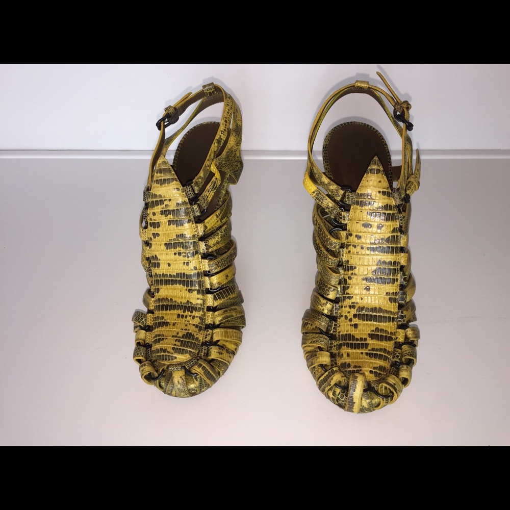 Bottega Veneta Crocodile